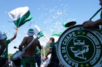 Galeria de fotos: Chapecoense 5 x 1 Palmeiras
