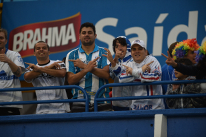 Avai x Cruzeiro (11 de 14)