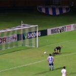 Vídeo – Catarinense 2022: Confira os gols deste sábado da dupla da capital