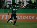 Chapecoense-X-Palmeiras-2-10