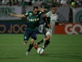 Chapecoense-X-Palmeiras-2-9