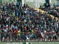 Chapecoense-X-Palmeiras-6