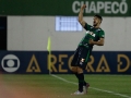 Chapecoense-X-Palmeiras--final-12
