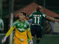 Chapecoense-X-Palmeiras--final-20