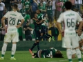 Chapecoense-X-Palmeiras--final-22