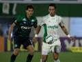 Chapecoense-X-Palmeiras--final-6