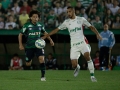 Chapecoense-X-Palmeiras--final-7