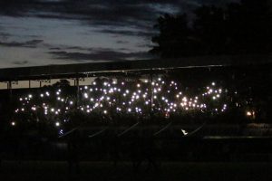 39590057264_703039aa17_z