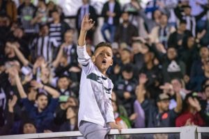 48798512861_9d17c59a41_c