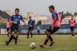 50409521401_a88e970bf9_c