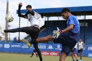 50445166863_aa5da29436_c