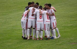 50728125161_f7237cde6e_c