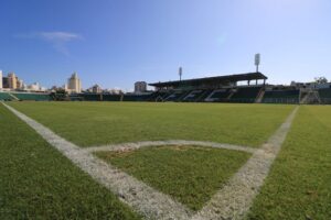 WhatsApp Image 2021-03-12 at 14.12.20 (1)