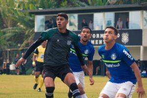 51193320802_c731267c12_c