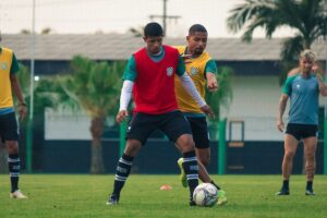 51403718165_d34a576f69_c