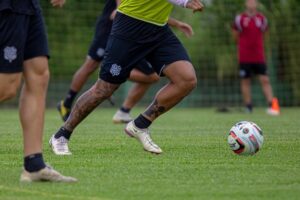 51872325385_9ff863220b_c