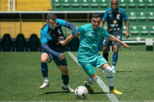 52581924720_29db01b819_c