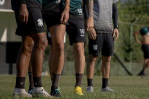 52666134343_106113e08b_c