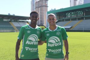 52809538512_99a212aaf9_c