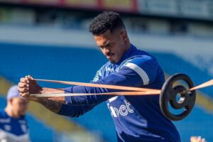 52940364759_c9eb0273a1_c