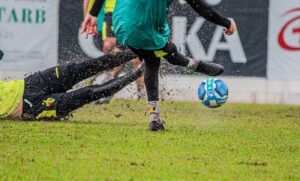 52996391613_12c5f64b77_c