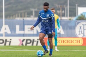 53075201961_a3f206d5bd_c