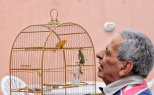 sequence.00_26_13_29.Quadro255-01