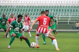 53244088529_a040e5ce8f_c