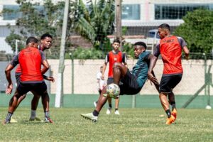 53431316638_7bdefc9771_k