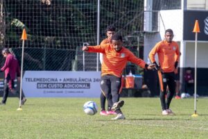 53879892567_42804ee202_c