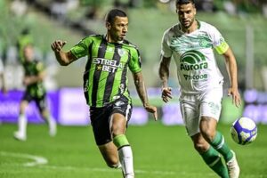 WhatsApp Image 2024-08-21 at 20.40.11